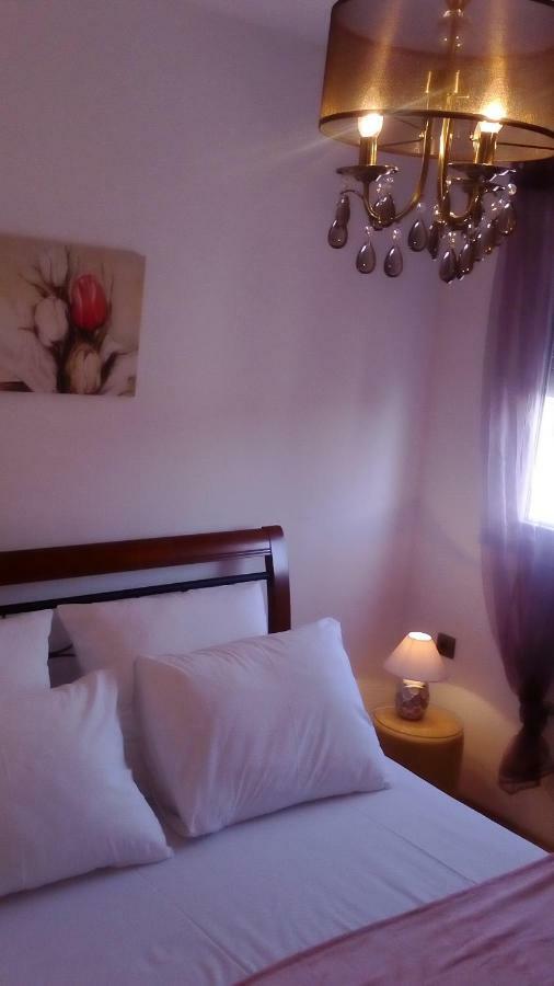 Apartment Yelena Rose West ザダル エクステリア 写真
