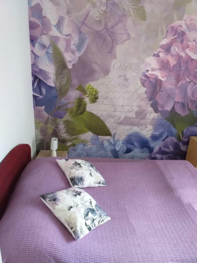 Apartment Yelena Rose West ザダル エクステリア 写真