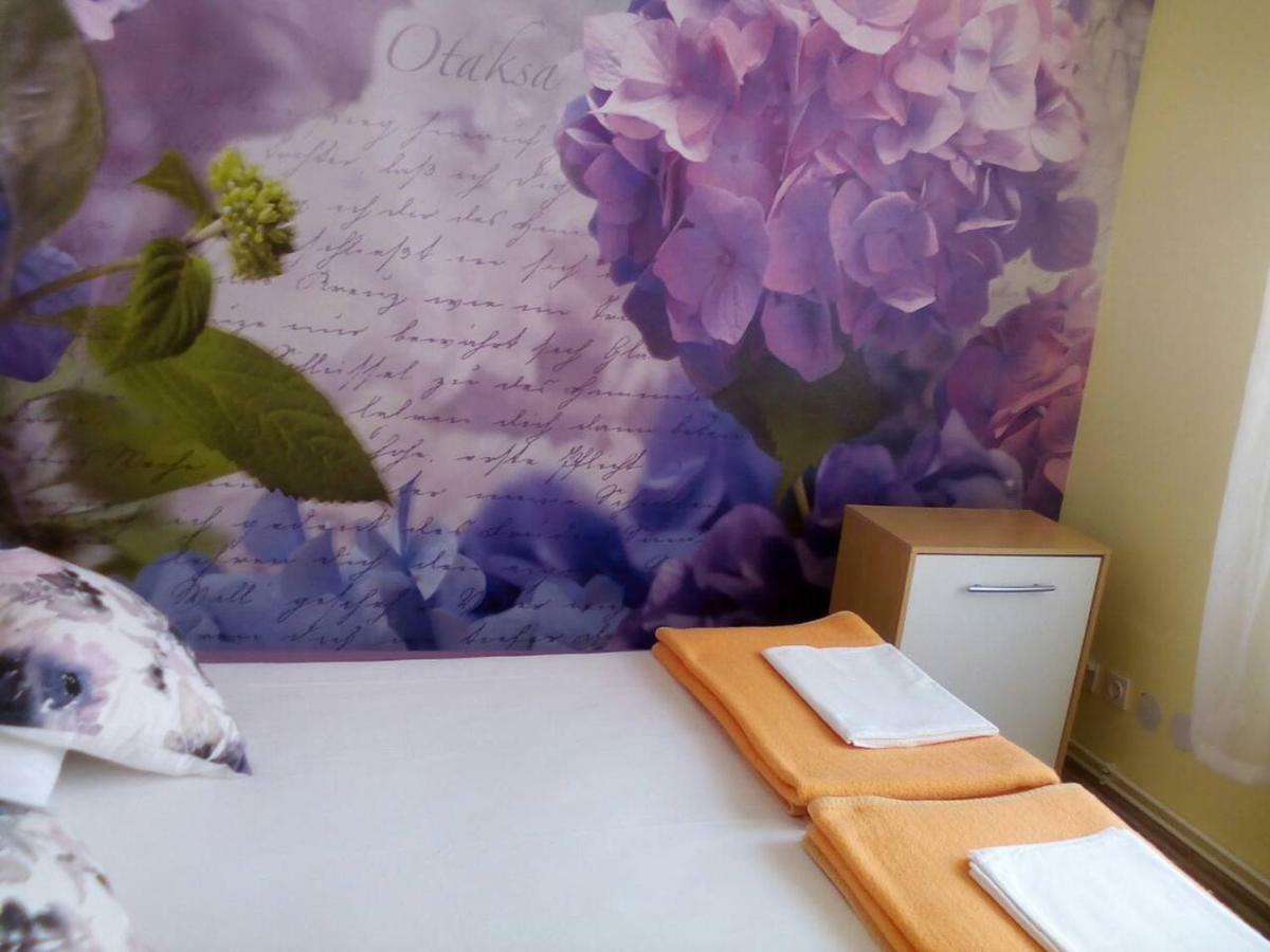 Apartment Yelena Rose West ザダル エクステリア 写真